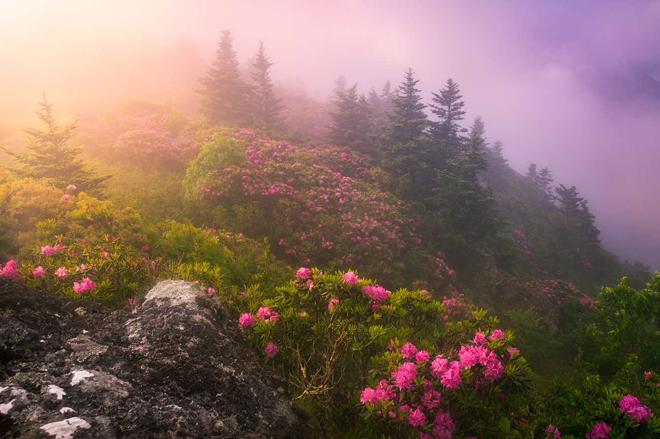 Western North Carolina Landscape Photography