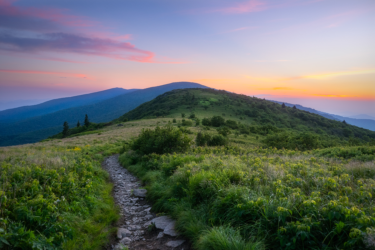 Appalachian Trail / Roan