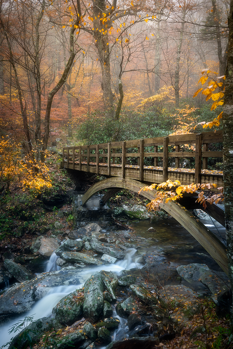 Bridge and Fall