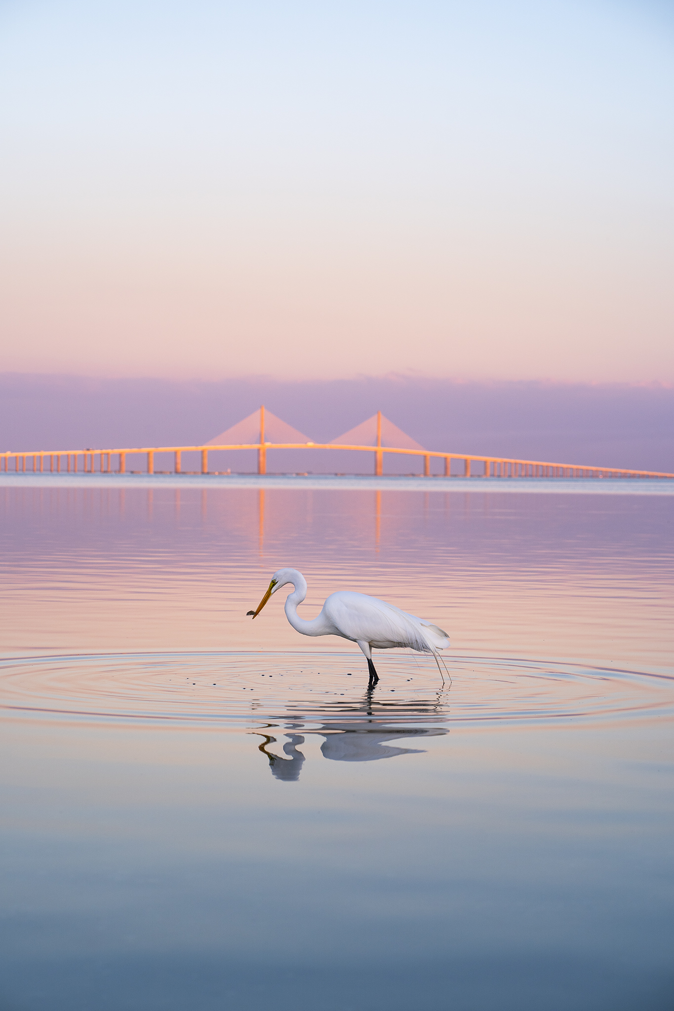 Fort De Soto Photo