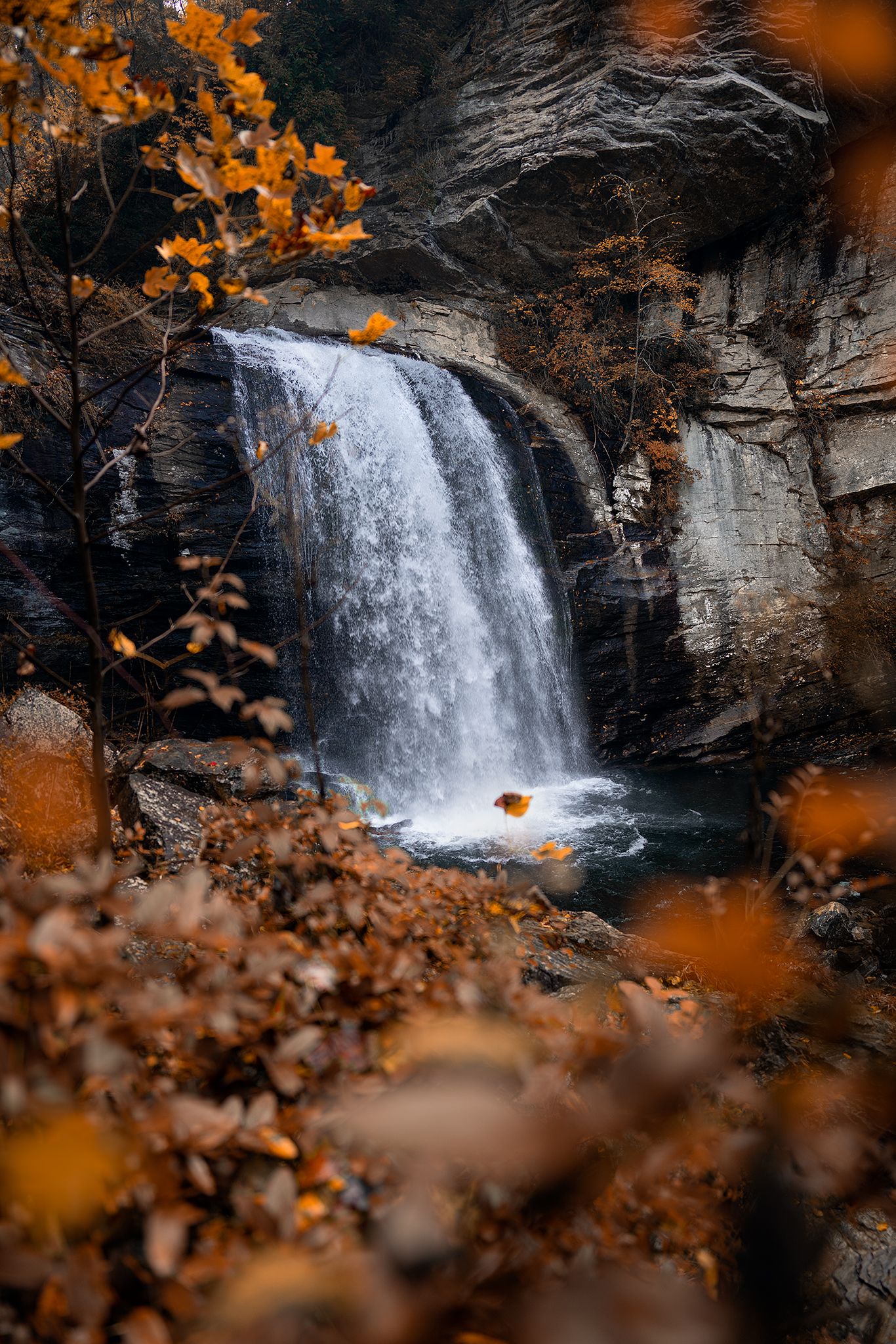 Looking Glass Falls in Autumn